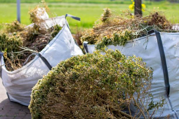 Best Electronics Removal Services  in Connellsville, PA